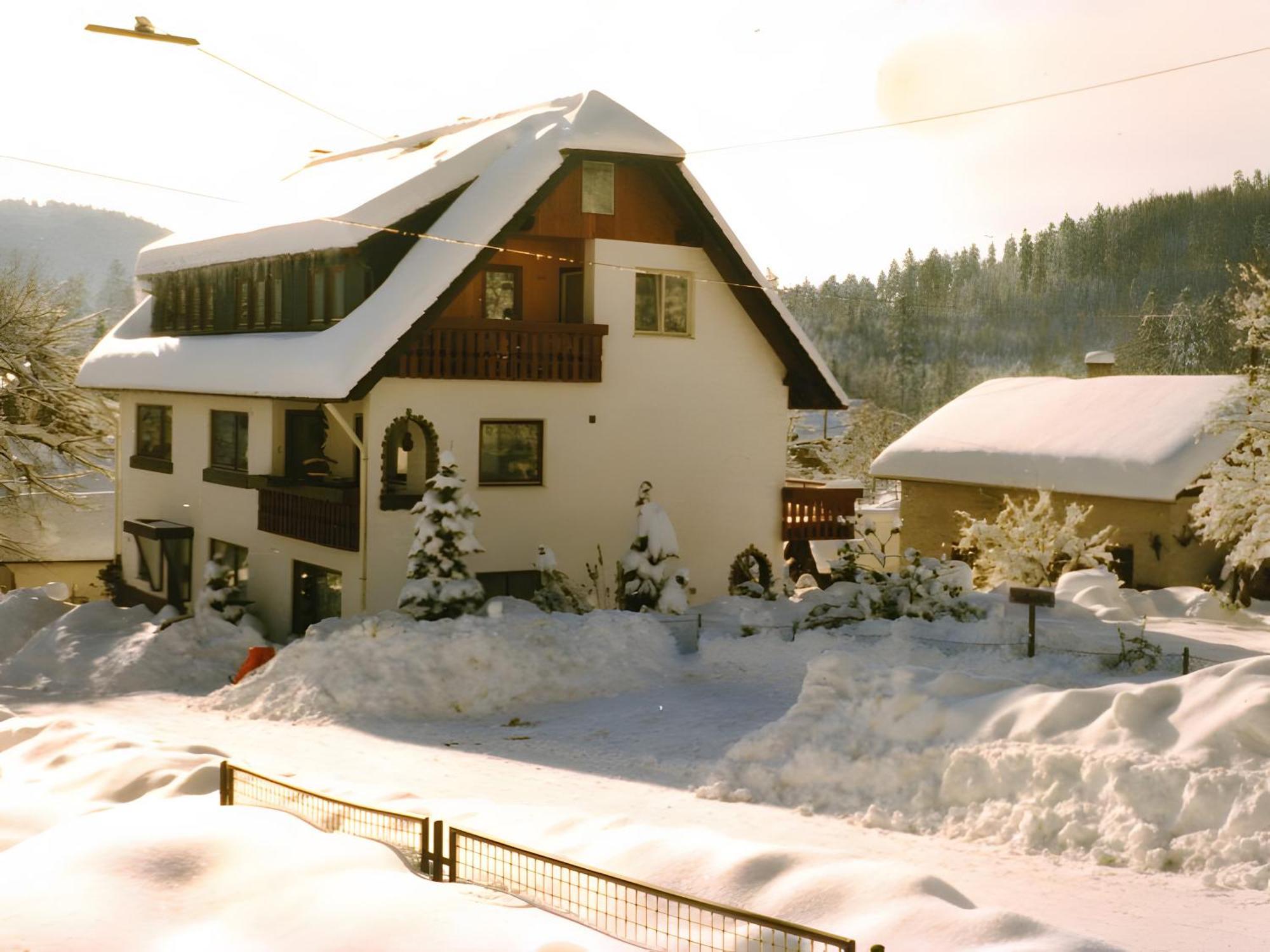 Haus Muehlgrund Apartamento Bad Wildbad Exterior foto